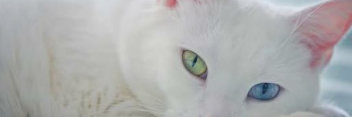 Etilondres's profile banner image