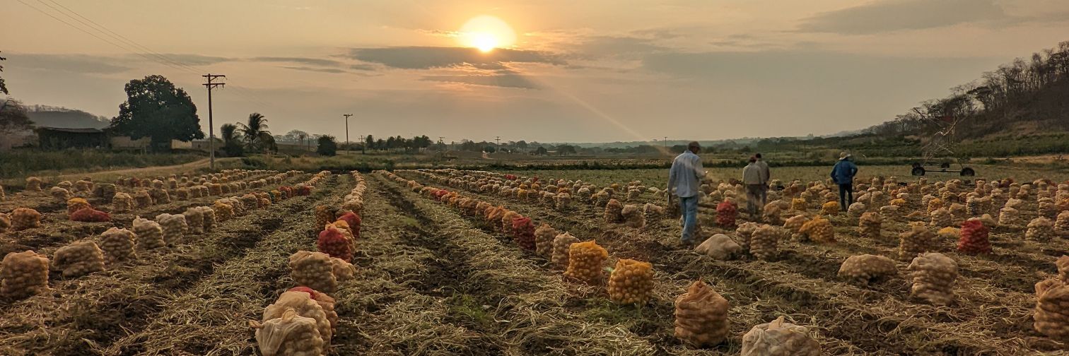 Eduardo Bernal banner