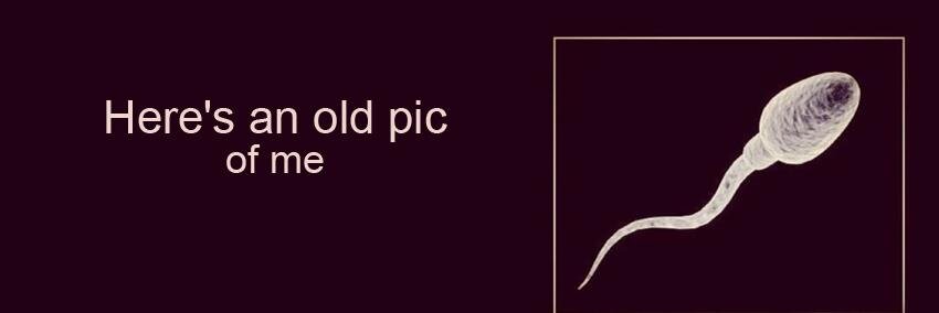 optmius_prime's profile banner image