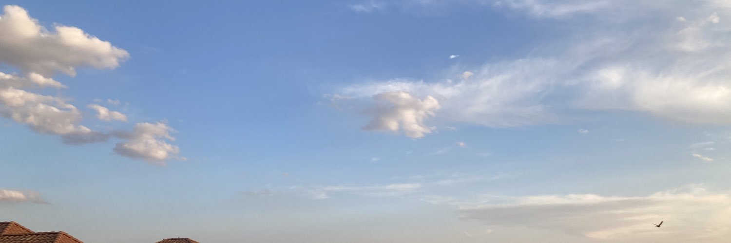 LLisaluo14's profile banner image
