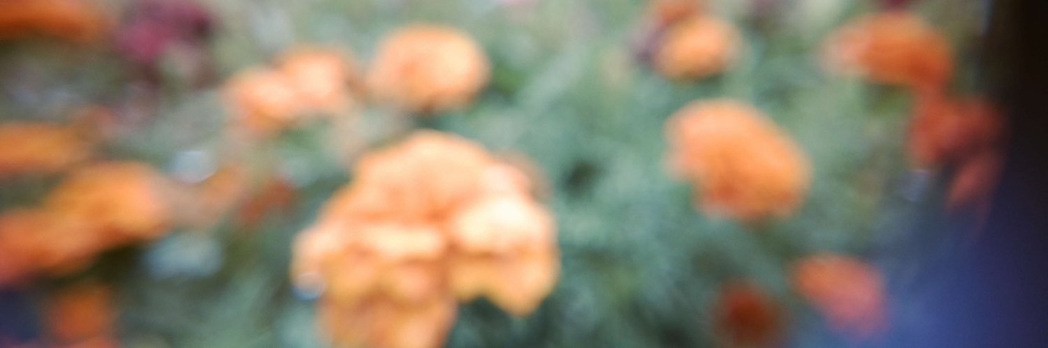 _hmr_01's profile banner image