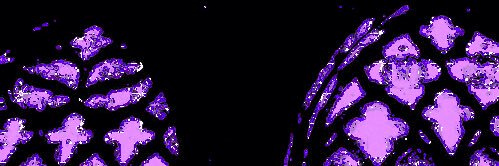 zara🦷 banner