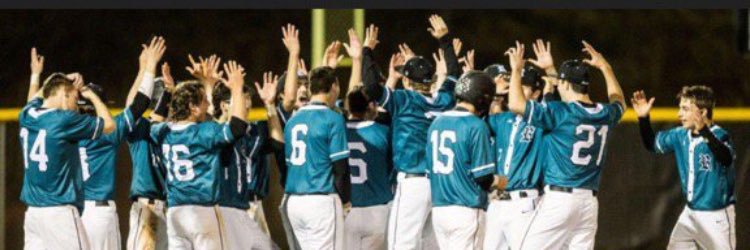 Reagan Baseball banner