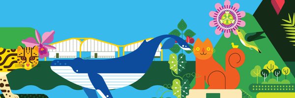 johanobandoc Profile Banner