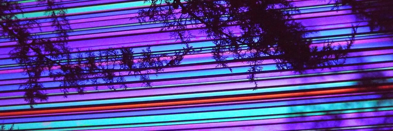 tcouto's profile banner image