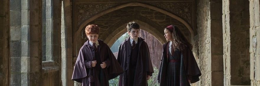 pablo dumbledore banner