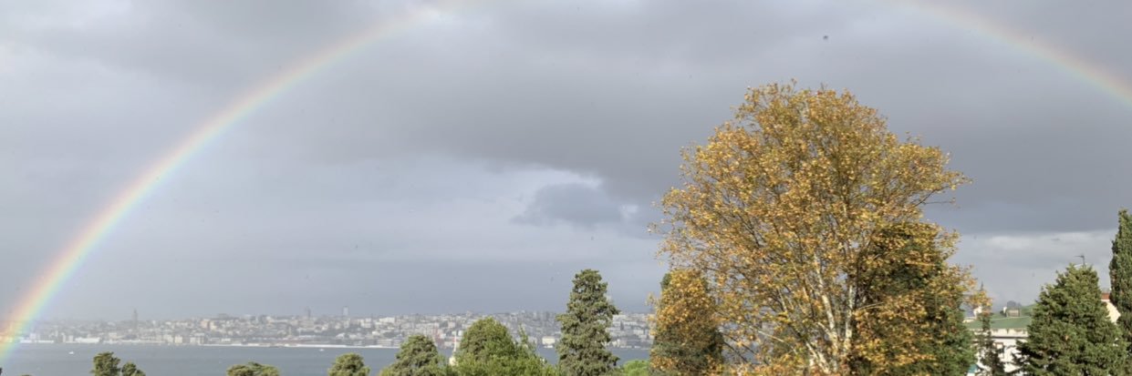 dicyoz's profile banner image