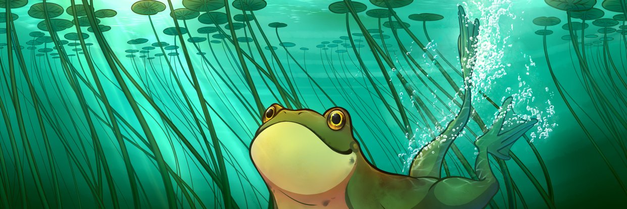 Ribbit banner