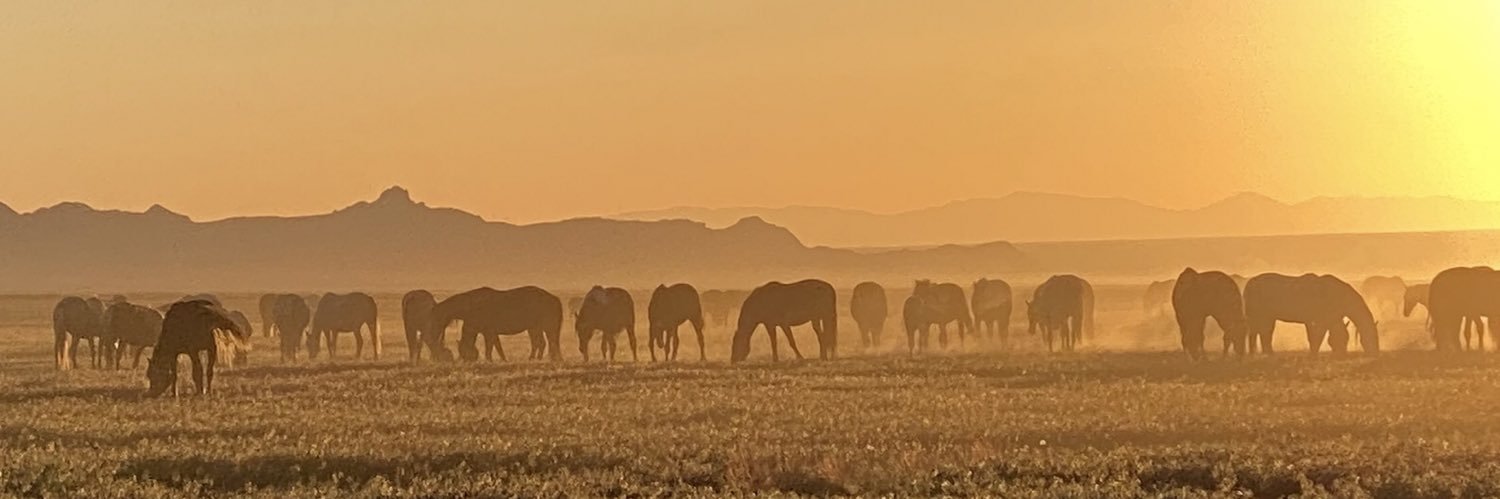 Blue Equus 💫🌎🌲🐾 🐝🐴🌱😷🇺🇦🌻🇵🇸 banner