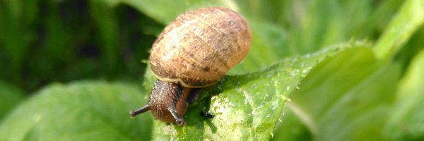 ub7_greenhands Profile Banner