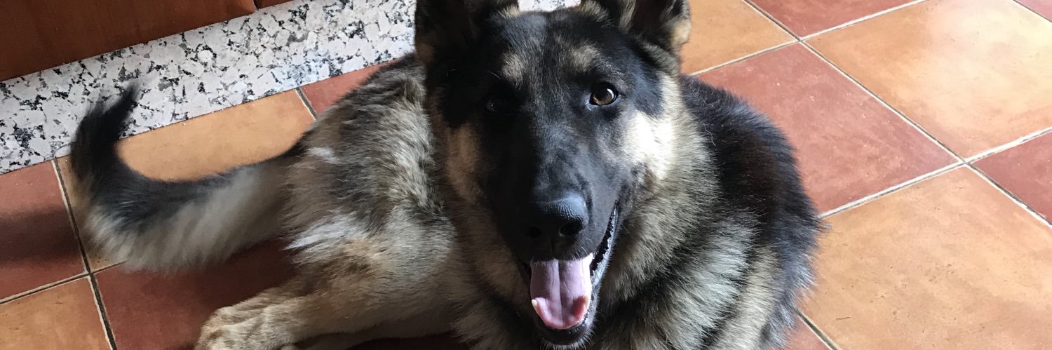 conguitojoe's profile banner image