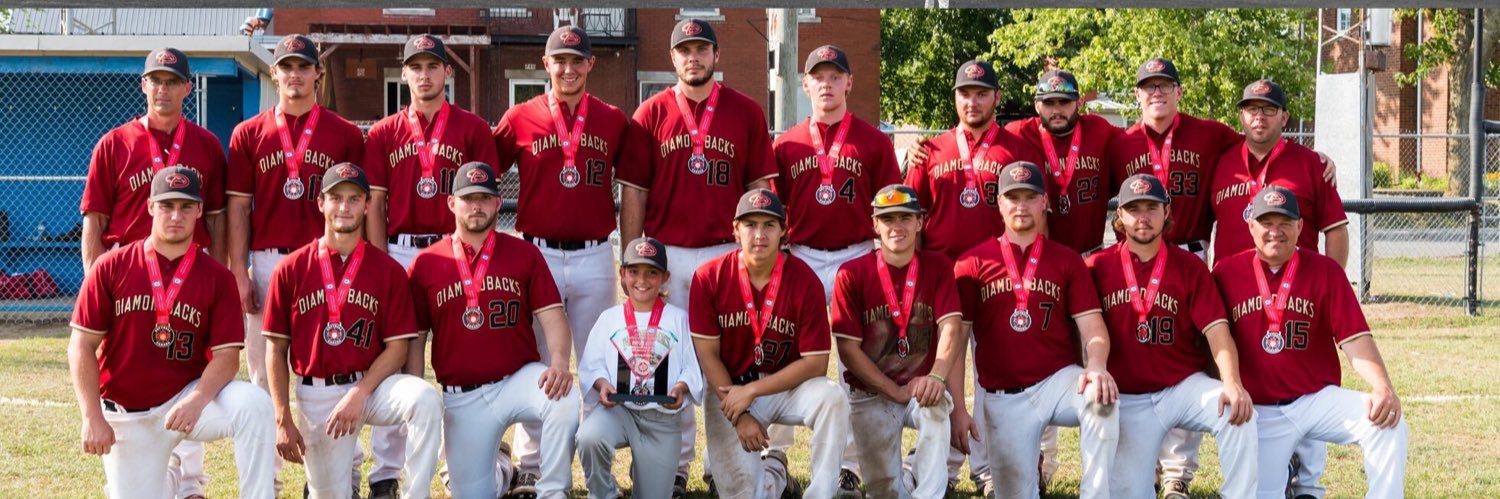 WD Plastics Diamondbacks banner