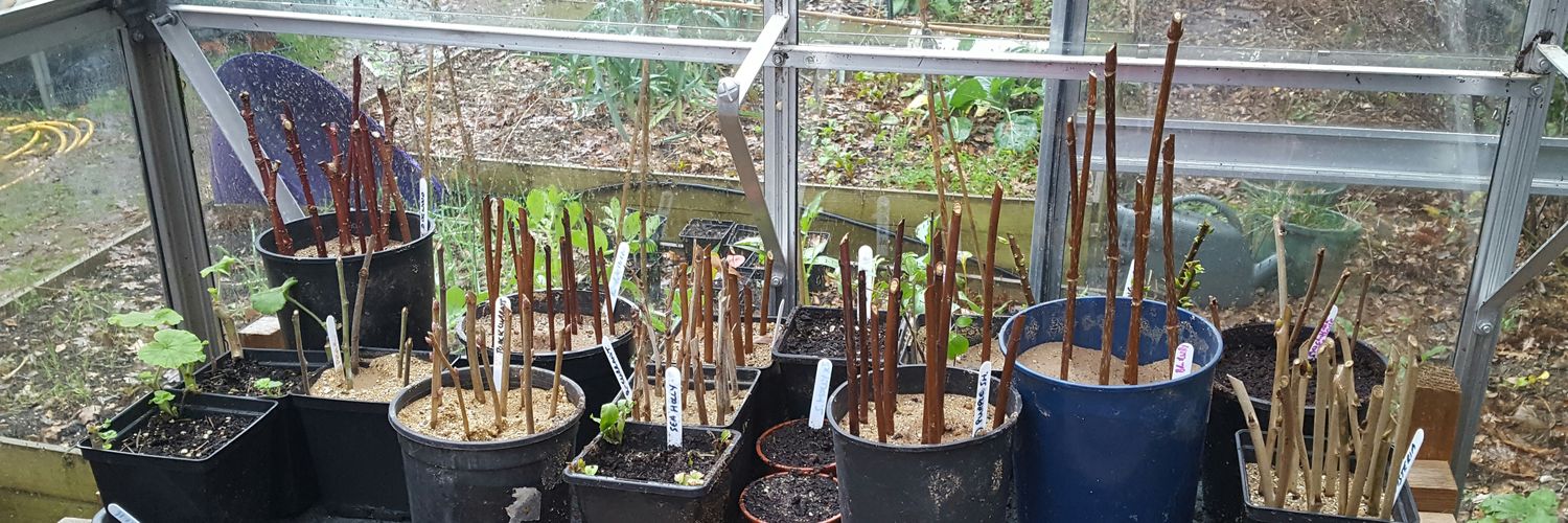 The Propagator banner