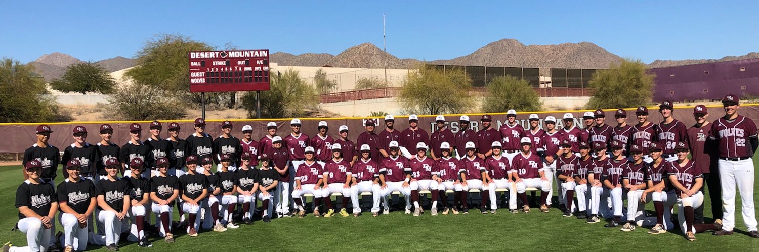 Desert Mountain Baseball banner
