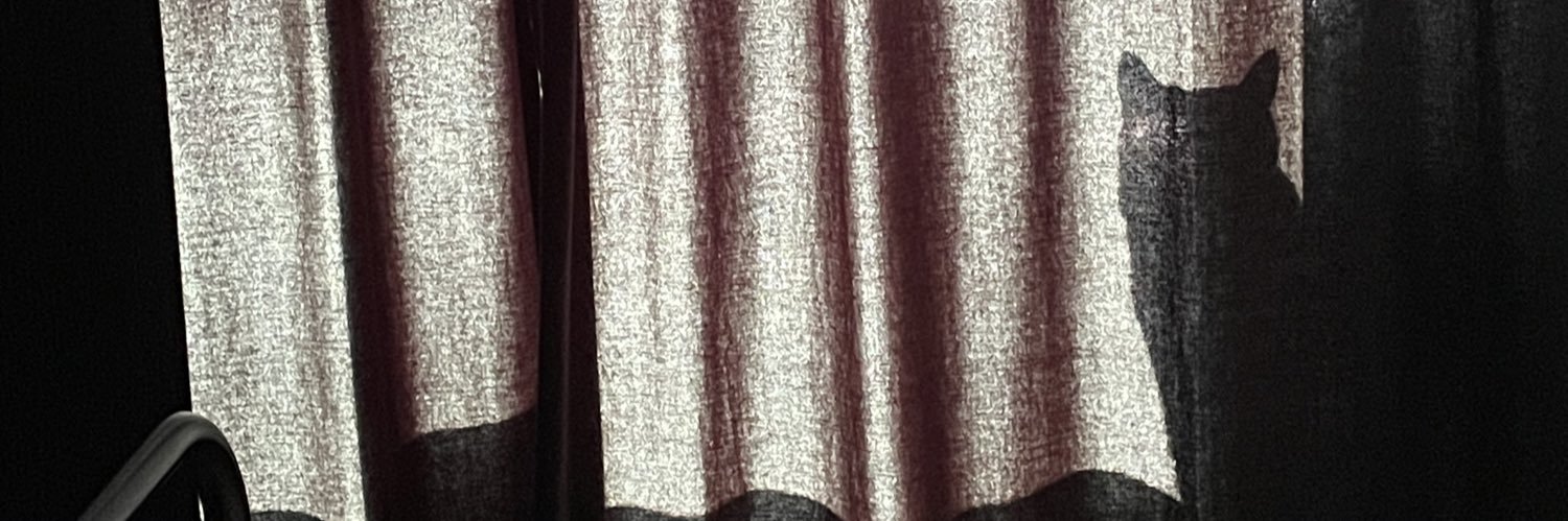 Luna 🌙 banner