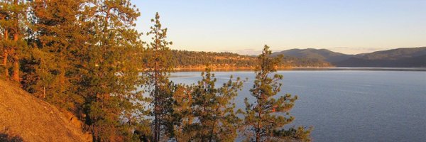 DPMHackaday Profile Banner