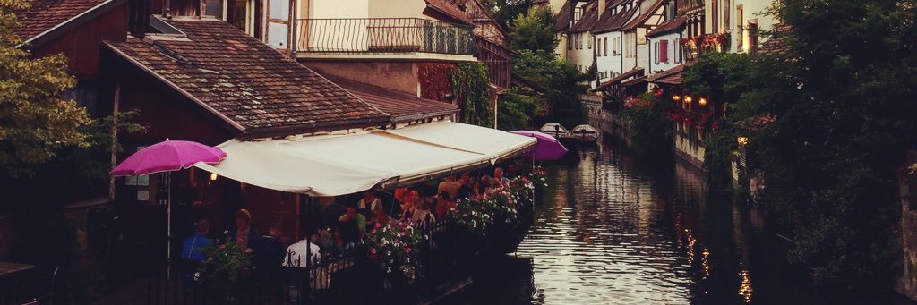 laura zaninelli banner