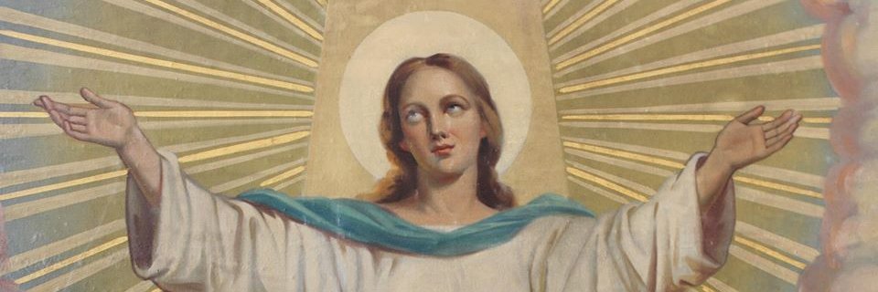 AssumptionSem's profile banner image