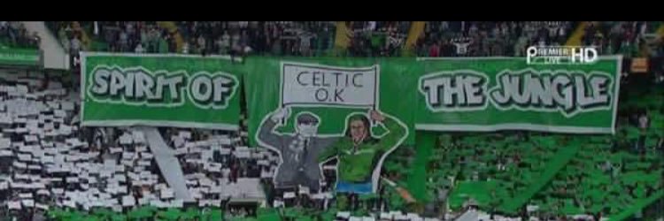Mikey Cree banner