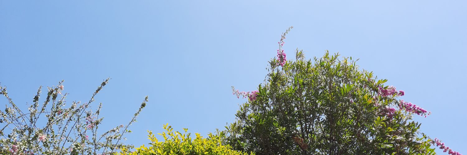 brendarr_'s profile banner image