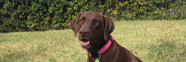 zacharyahuber Profile Banner