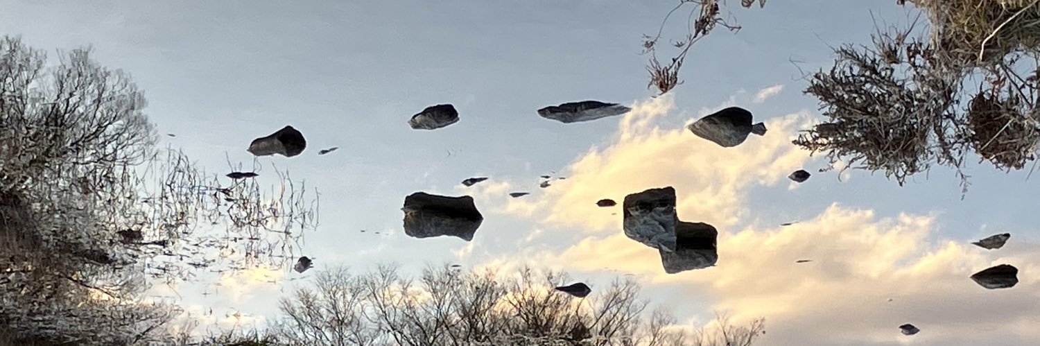 ・𝕾𝕰𝖅𝕰・ banner