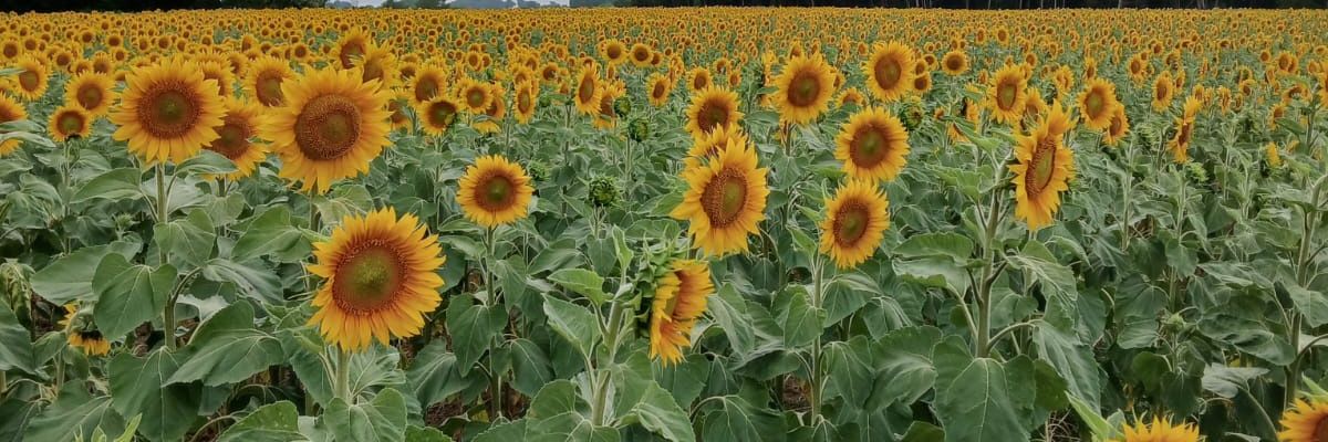 namoon_chan's profile banner image