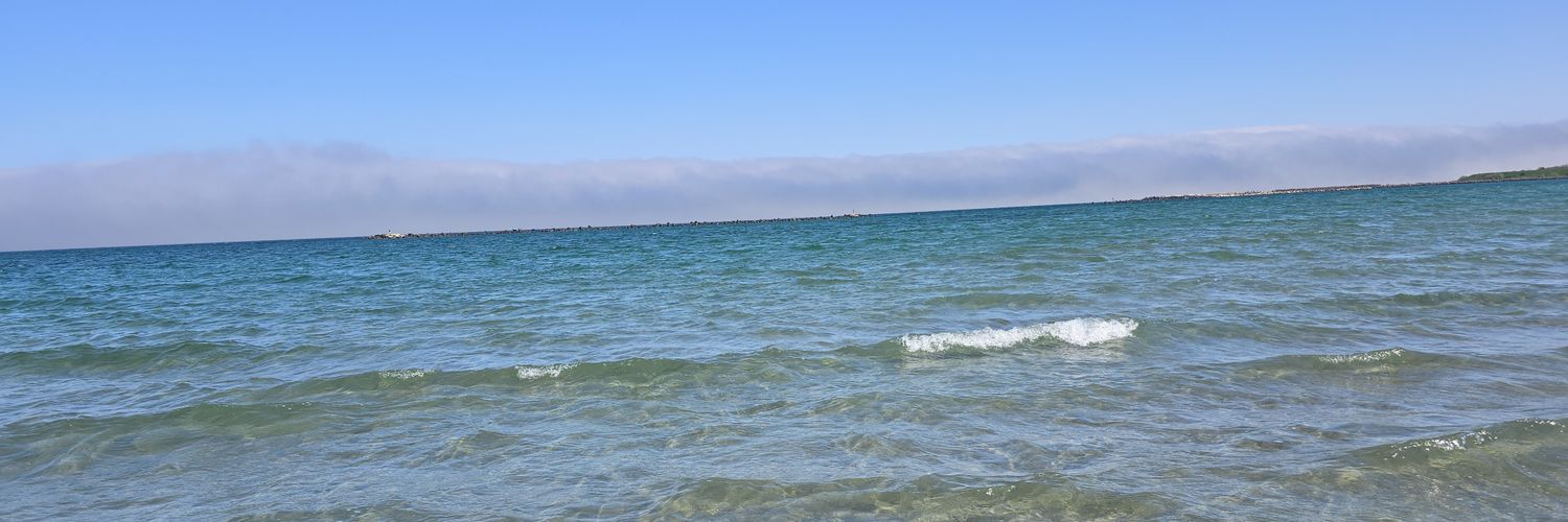 𝐅𝐥𝐨𝐫𝐢𝐧 banner