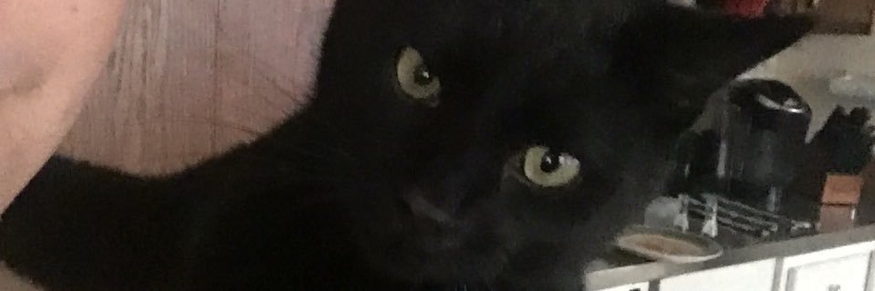 HunterBrooke2's profile banner image