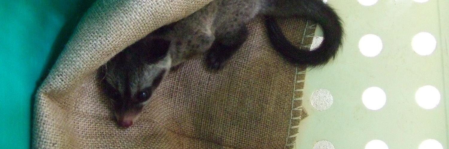 beastiet's profile banner image