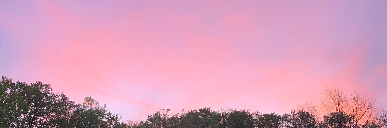 janicebaek_'s profile banner image