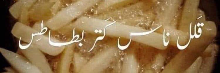 boghdady banner