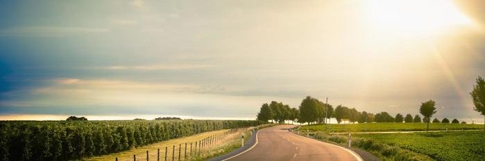 Evanthis Gogoulis banner