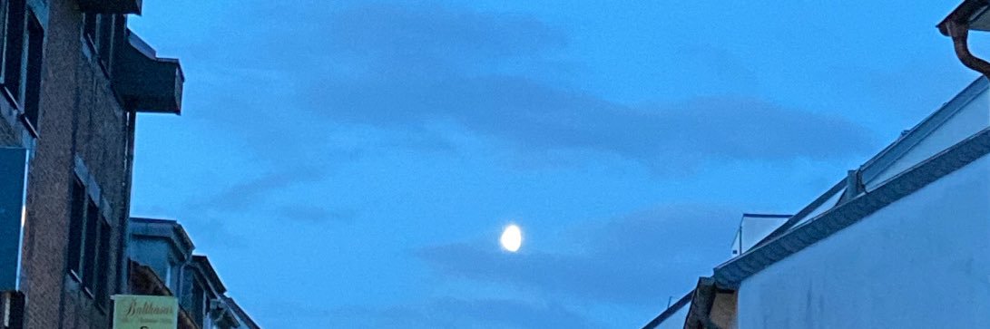 ….. banner