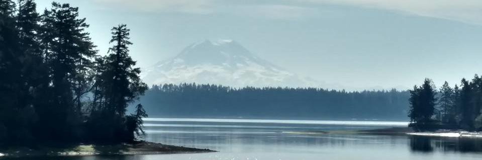 sedatedfork's profile banner image