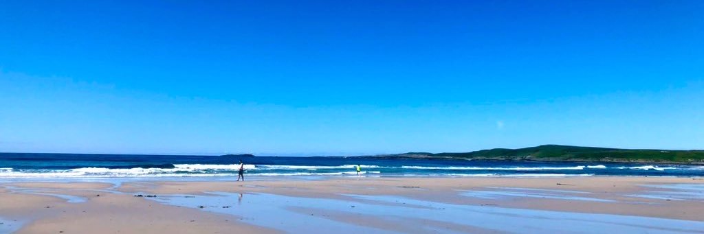 Paul Hoffmann banner