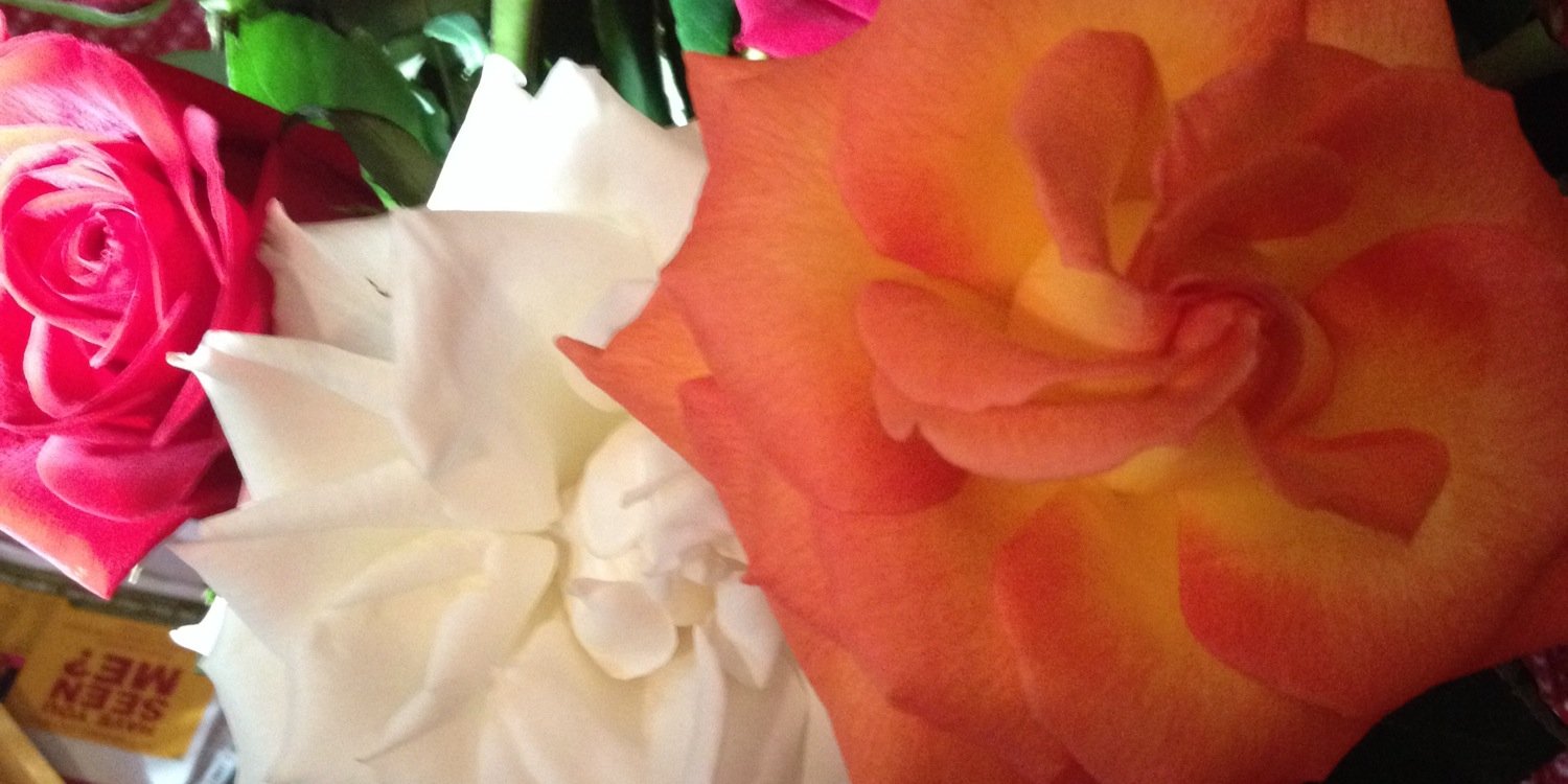 MrsMommie's profile banner image