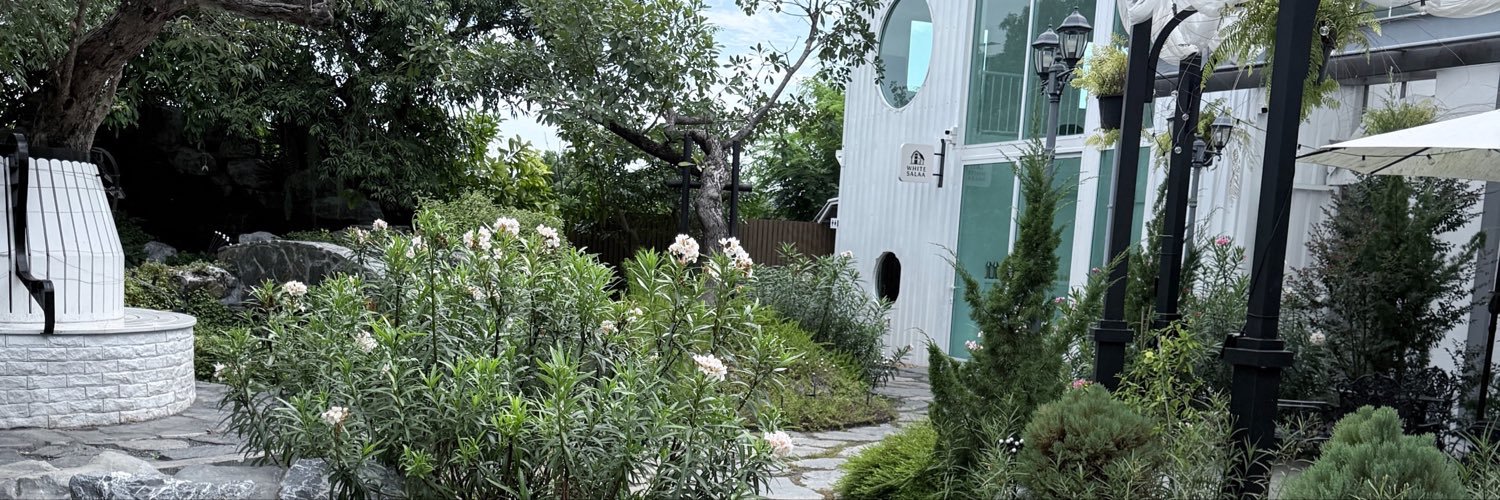 meadowlyworld's profile banner image