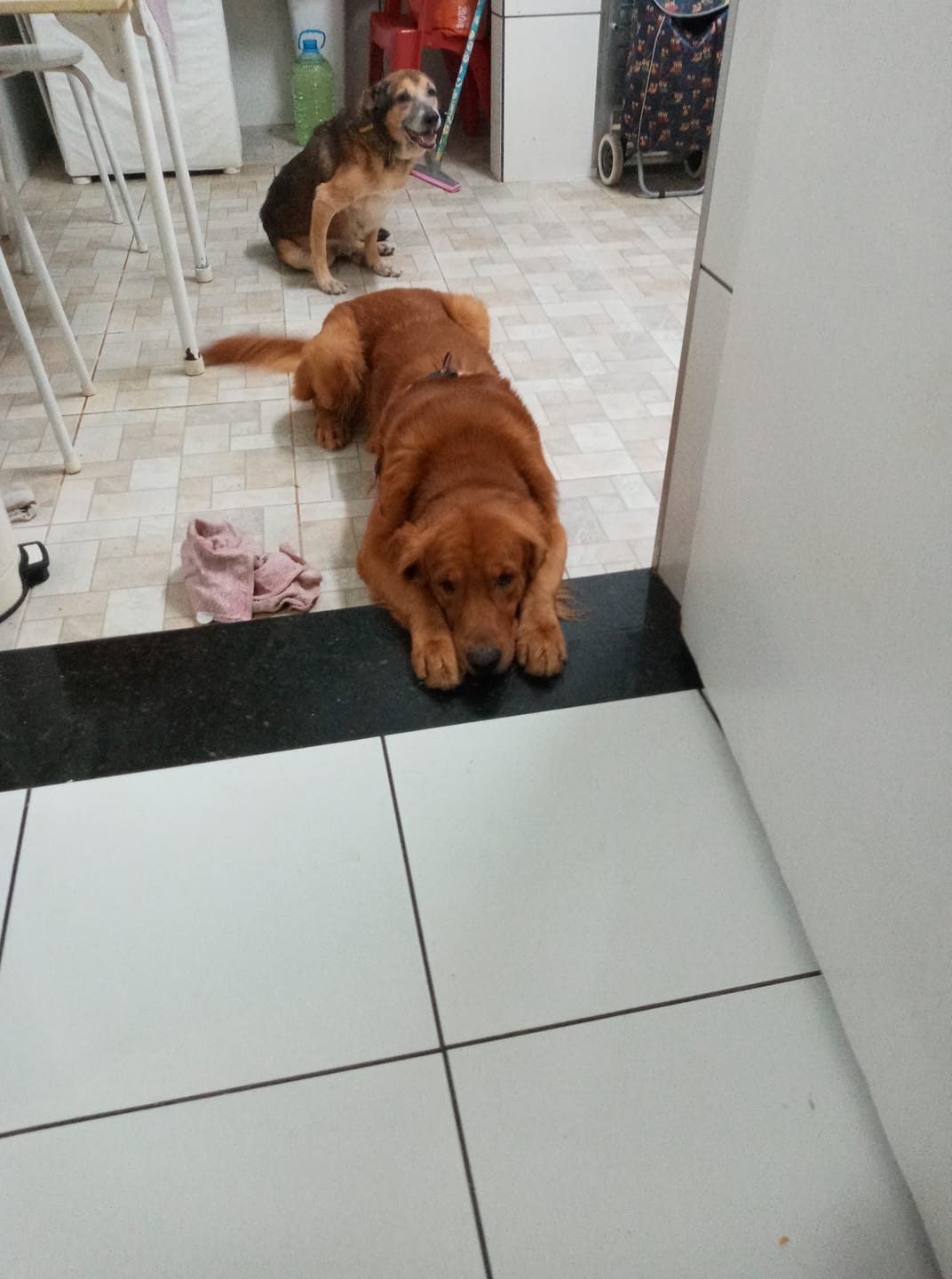 Renan Garcia - 🇭🇺 banner