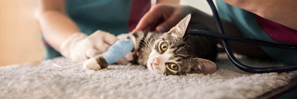 PDSApressoffice Profile Banner