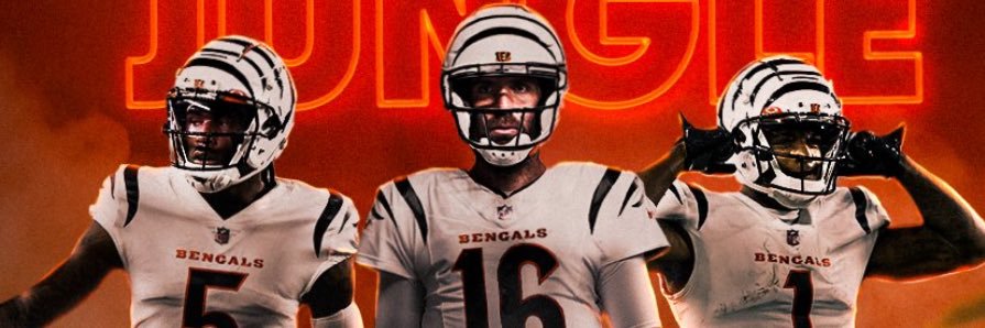 Ty banner