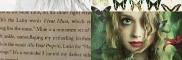 silencethebugs's profile banner image