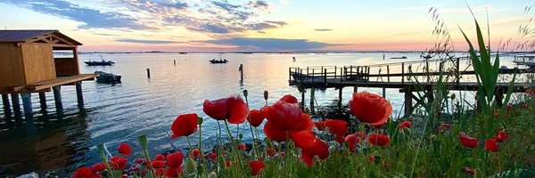 spontonc Profile Banner