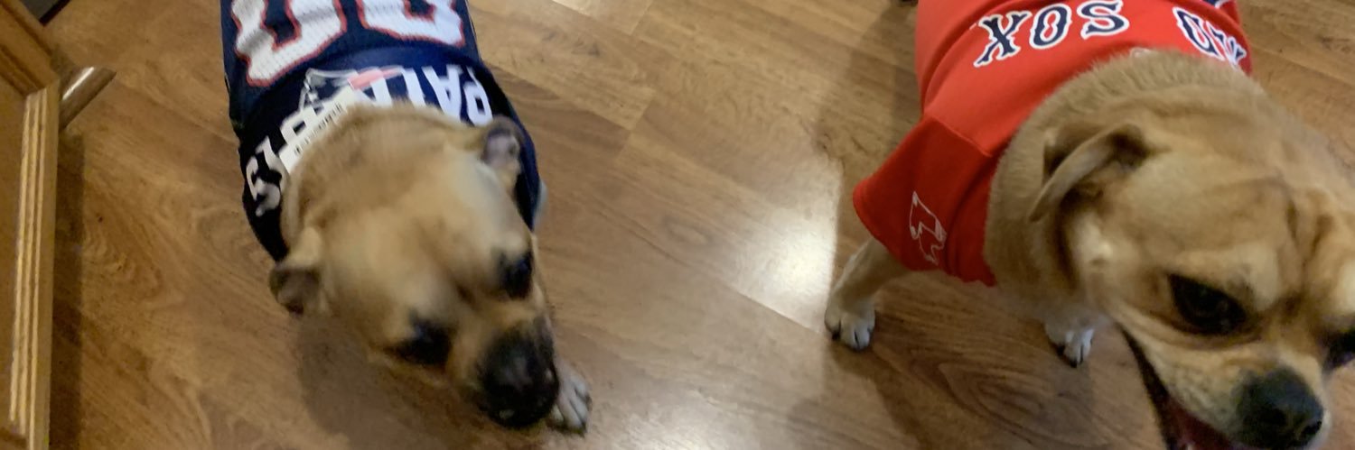 MonkeyStuffMedia banner