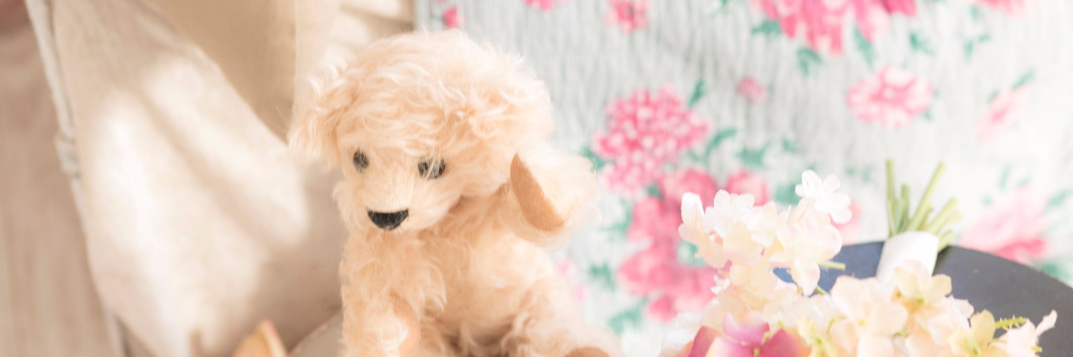 あべち☘️🐻 banner
