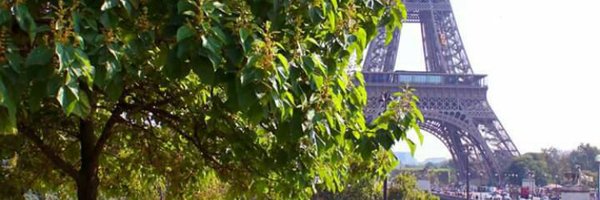 Alzuha3Abdullah Profile Banner