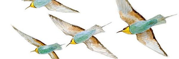 Albert_arce Profile Banner