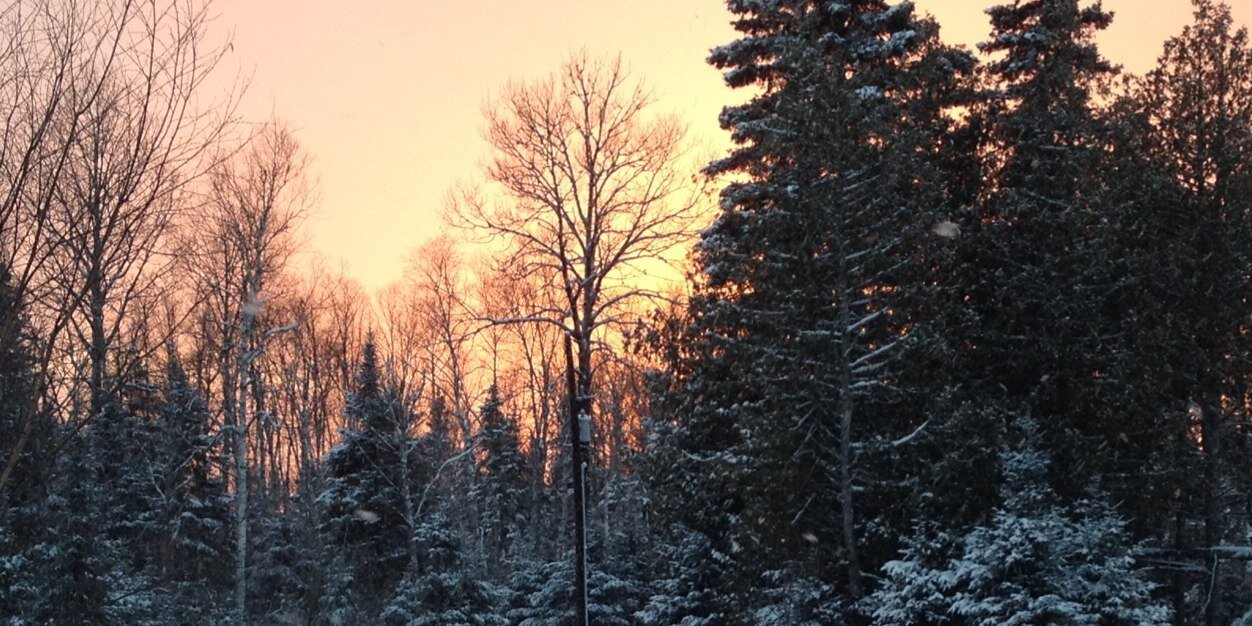 Melissa Bianco banner