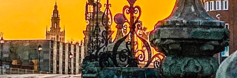 m_lorence's profile banner image