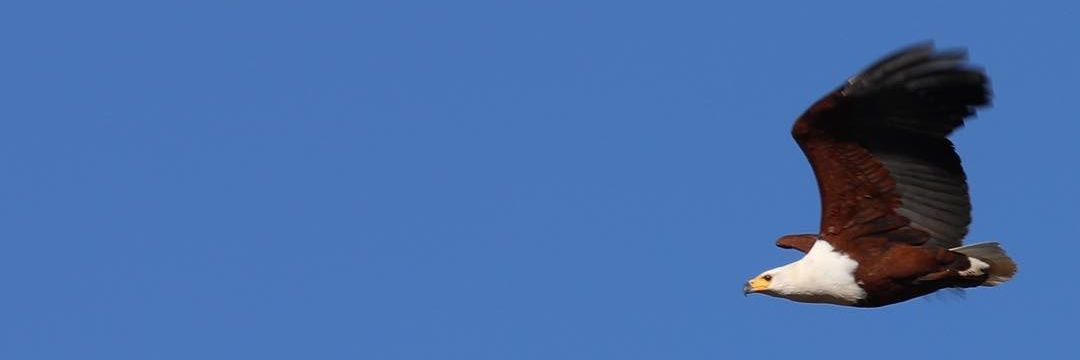 SarangMeshram90's profile banner image
